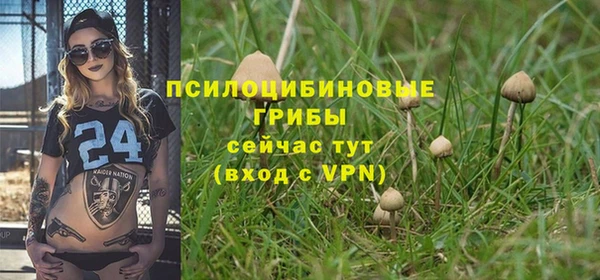 apvp Гусев