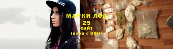 apvp Гусев