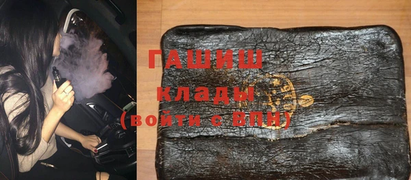 apvp Гусев