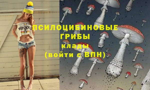таблы Яранск