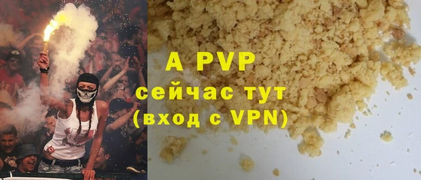apvp Гусев