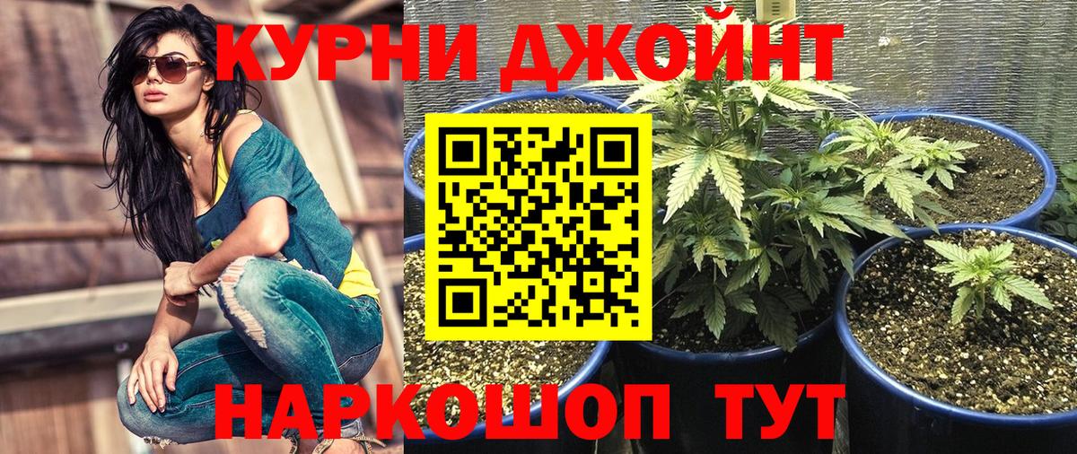 Мончегорск  Конопля THC 21%  Канабис конопля  Бошки Шишки планчик  Вход с VPN 